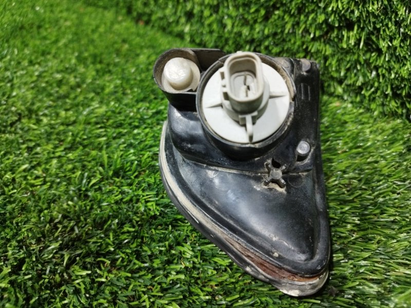 Поворотник, 1000 рублей, Пешки