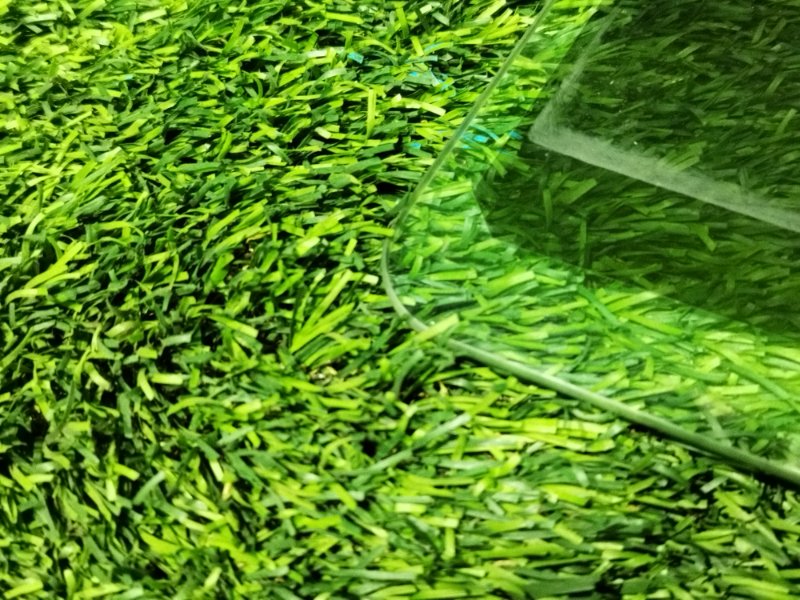 Стекло двери, 5000 рублей, Пешки