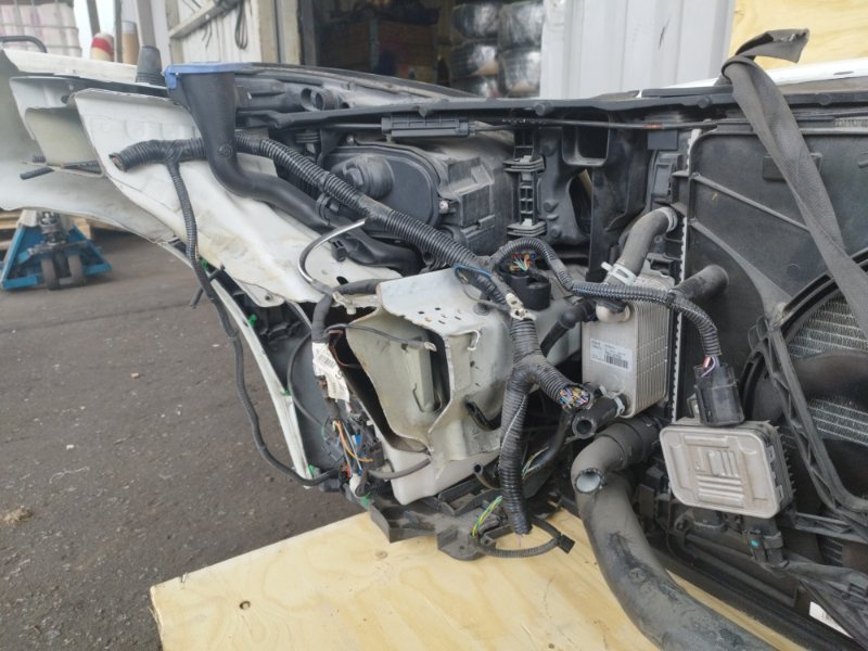 НОУСКАТ, 60000 рублей, Пешки