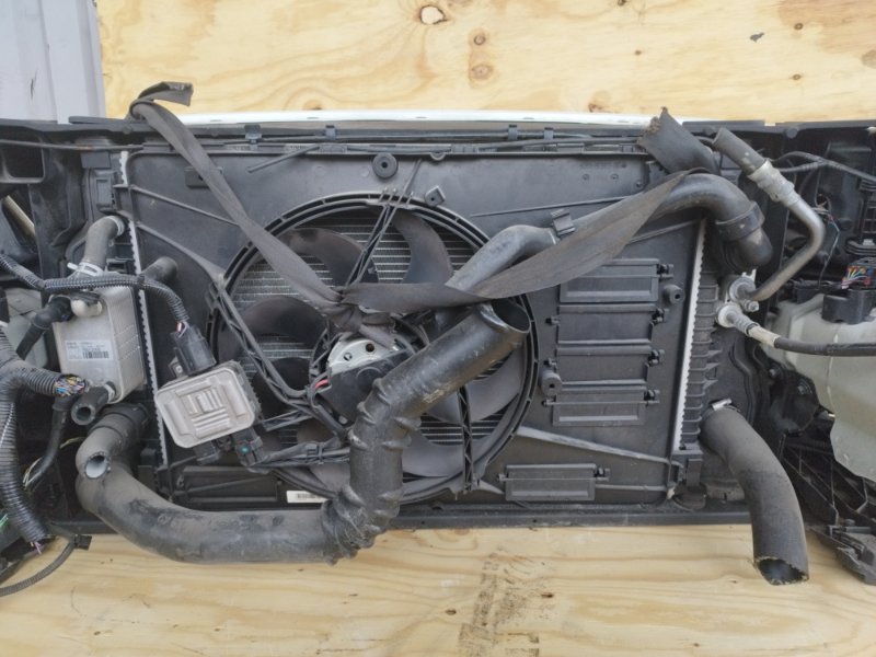 НОУСКАТ, 60000 рублей, Пешки