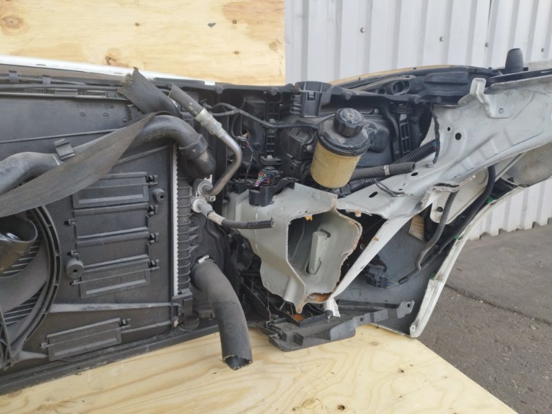 НОУСКАТ, 60000 рублей, Пешки