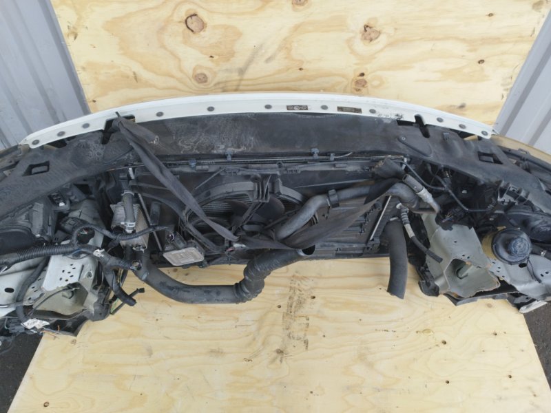 НОУСКАТ, 60000 рублей, Пешки