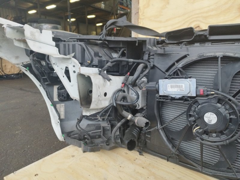 НОУСКАТ, 60000 рублей, Пешки