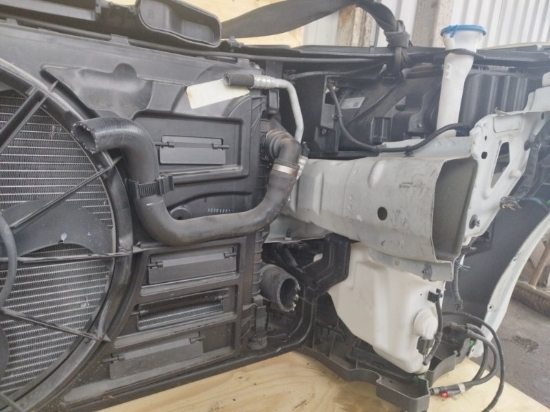 НОУСКАТ, 60000 рублей, Пешки