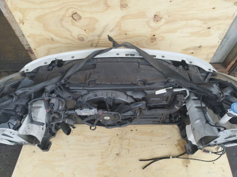 НОУСКАТ, 60000 рублей, Пешки