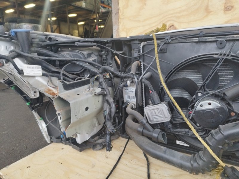 НОУСКАТ, 60000 рублей, Пешки