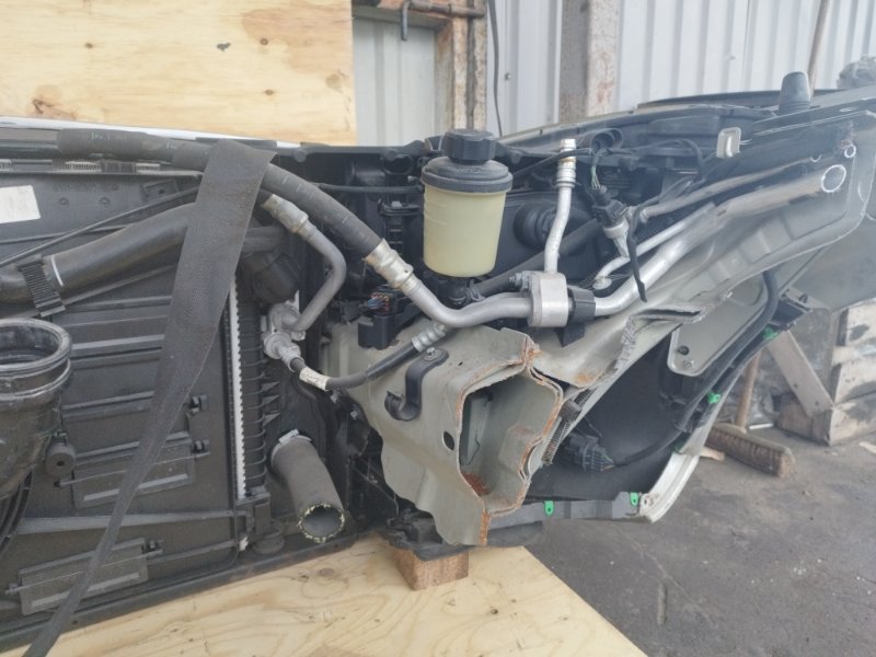 НОУСКАТ, 60000 рублей, Пешки