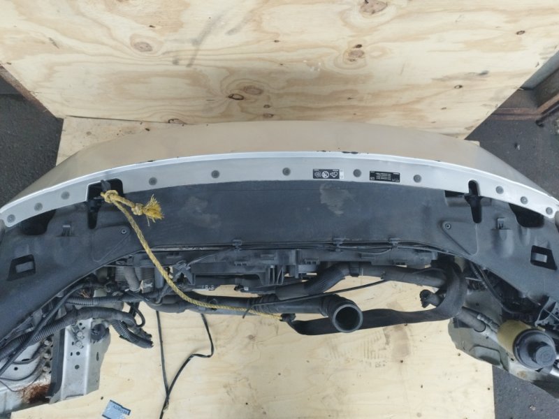 НОУСКАТ, 60000 рублей, Пешки