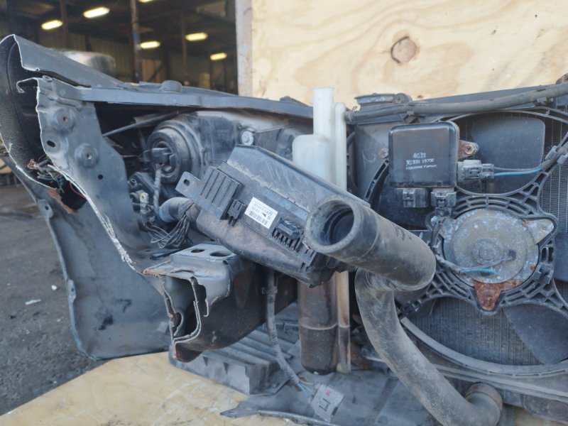 НОУСКАТ, 40000 рублей, Пешки