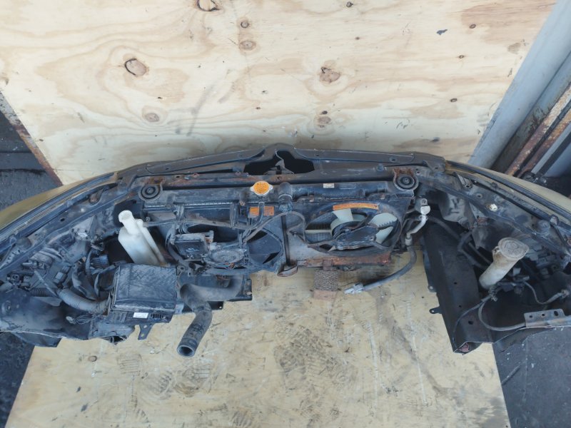 НОУСКАТ, 40000 рублей, Пешки