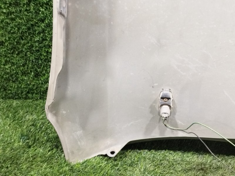 Крыло, 14000 рублей, Пешки