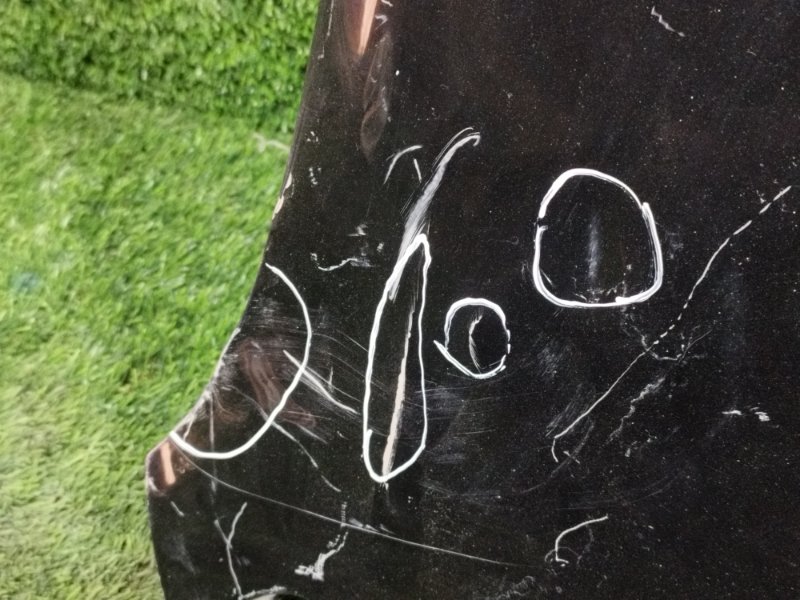 Крыло, 5000 рублей, Пешки