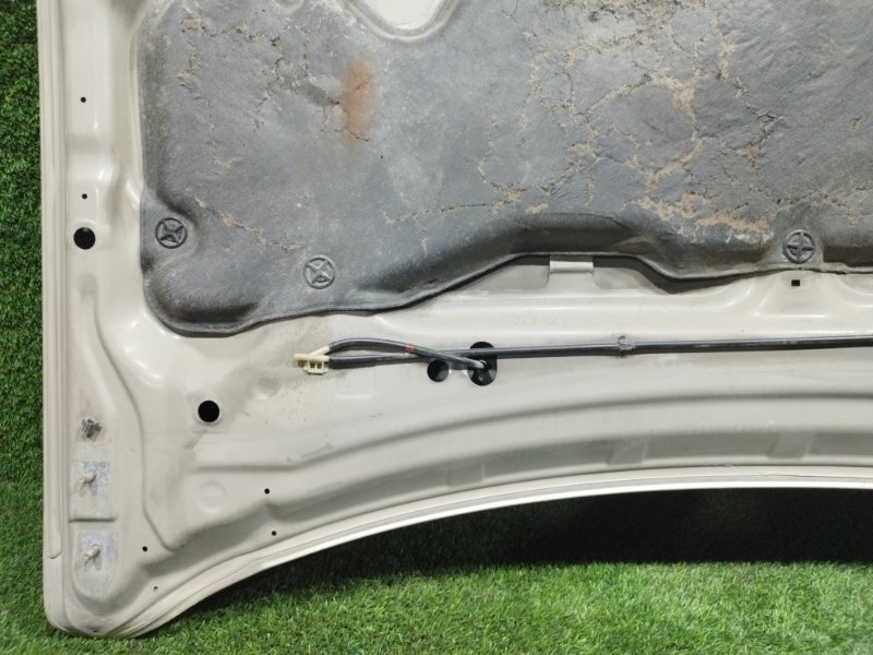 Капот, 5000 рублей, Пешки