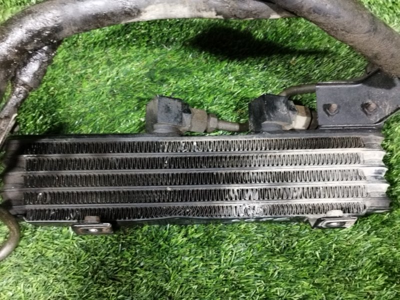 Радиатор масляный, 5000 рублей, Пешки