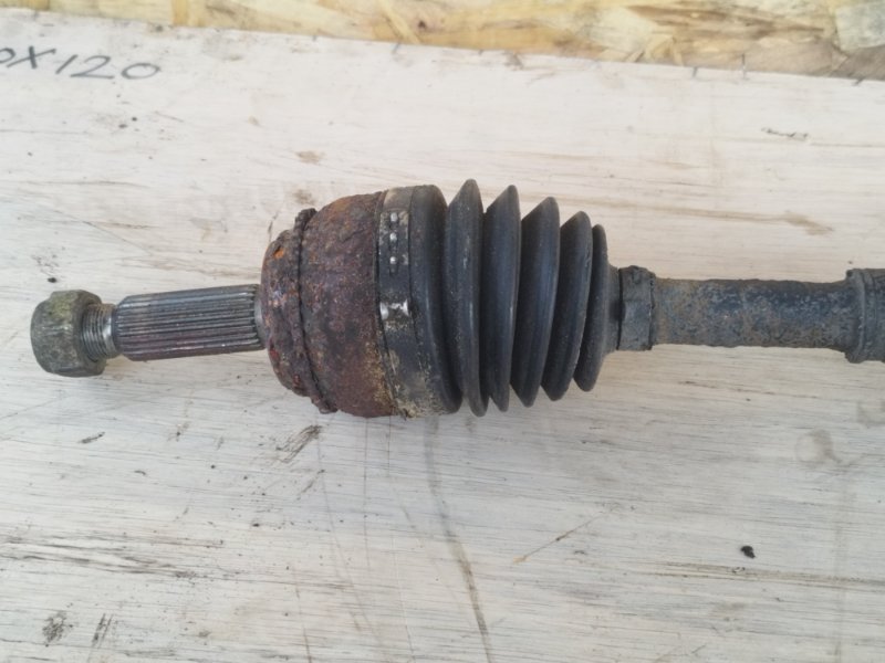 Привод, 8000 рублей, Пешки