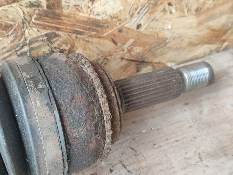 Привод, 12000 рублей, Пешки