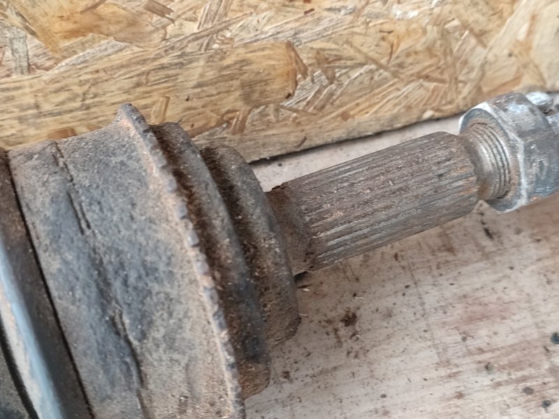 Привод, 6000 рублей, Пешки