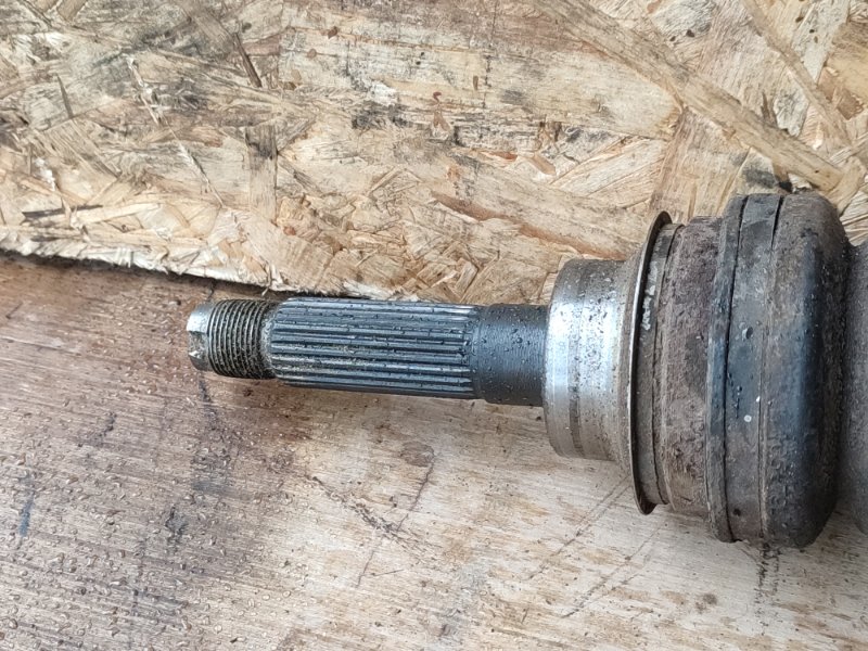 Привод, 8000 рублей, Пешки