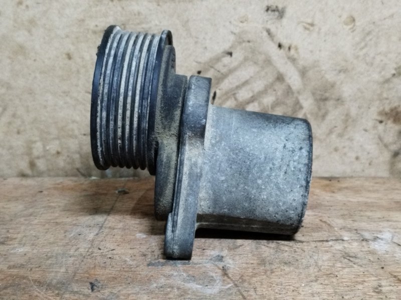 Натяжитель ремня генератора, 500 рублей, Пешки