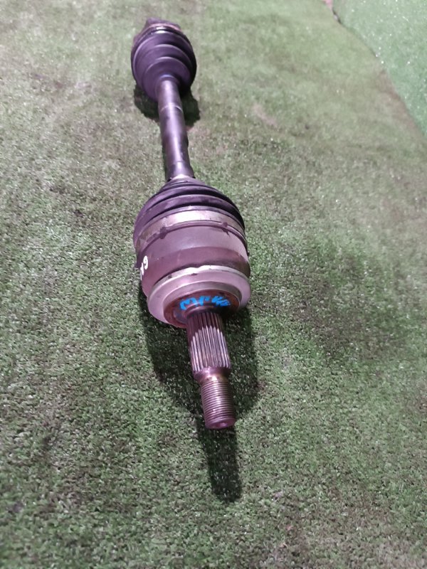 Привод, 10000 рублей, Пешки