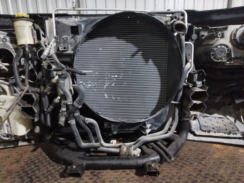 НОУСКАТ, 60000 рублей, Пешки