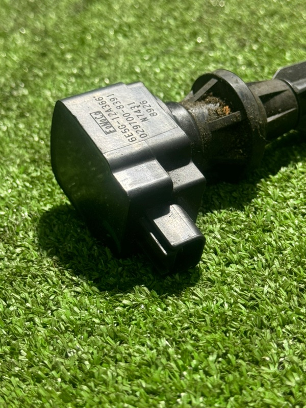 Катушка зажигания, 1000 рублей, Пешки