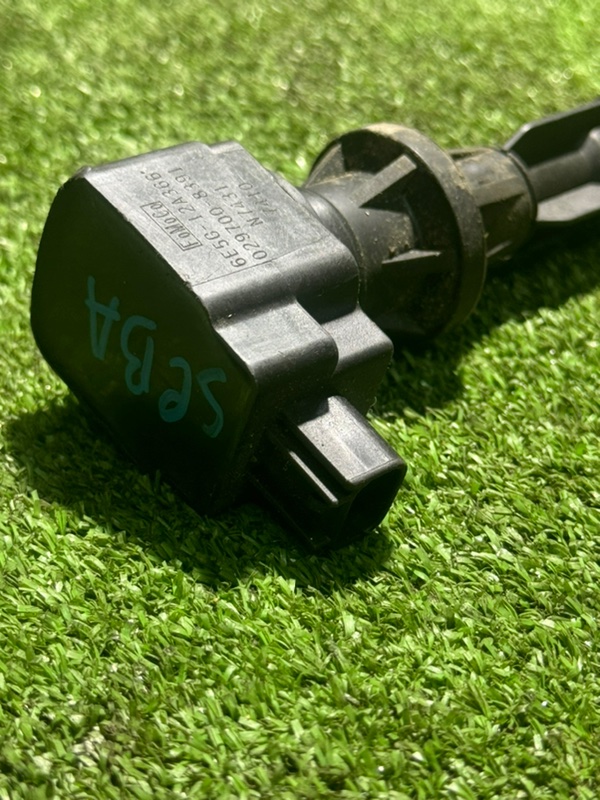 Катушка зажигания, 1000 рублей, Пешки