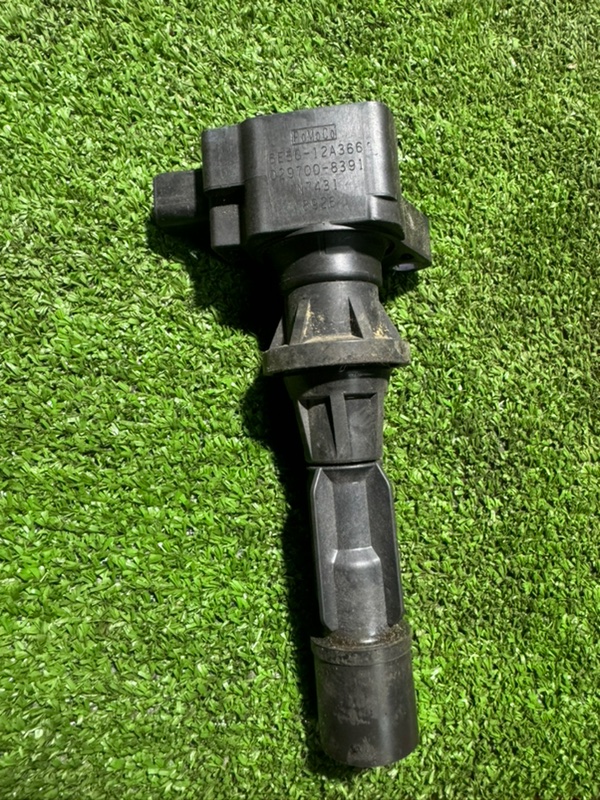 Катушка зажигания, 1000 рублей, Пешки