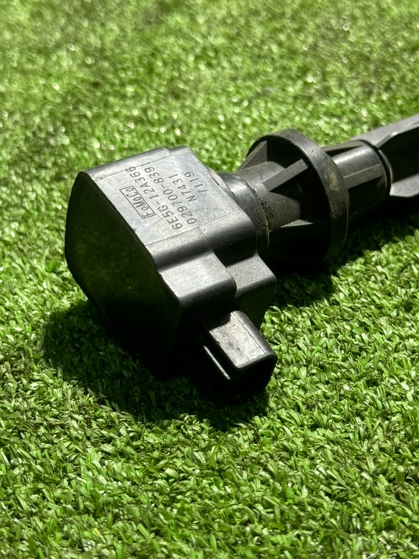 Катушка зажигания, 1000 рублей, Пешки