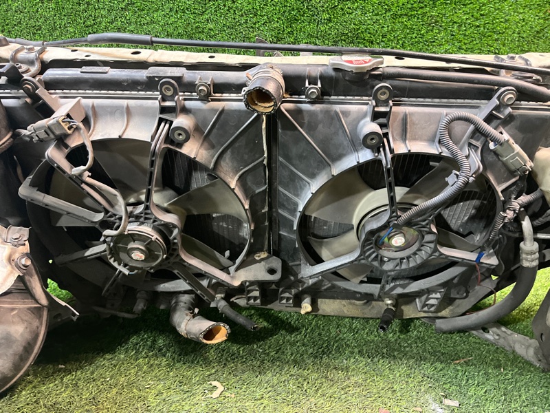 НОУСКАТ, 70000 рублей, Пешки