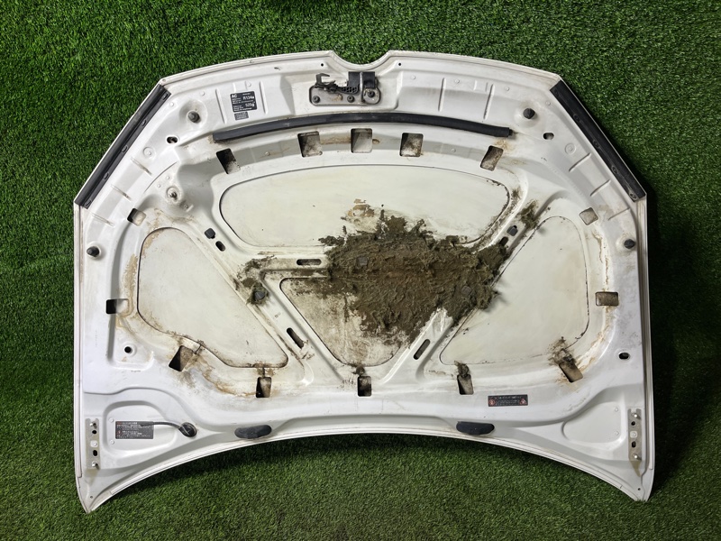 Капот, 18000 рублей, Пешки