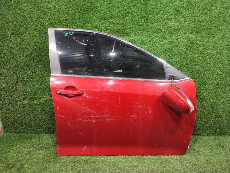 Дверь, 30000 рублей, Пешки