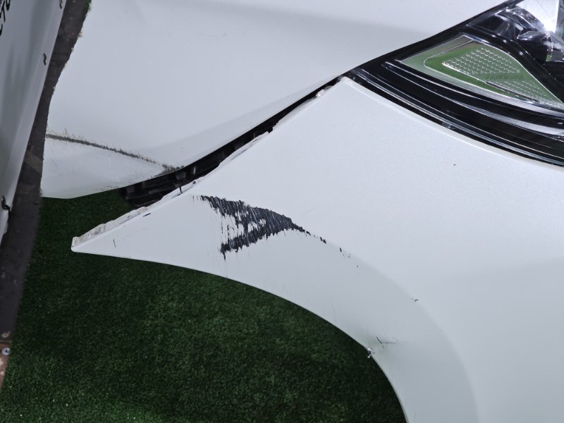 НОУСКАТ, 150000 рублей, Пешки