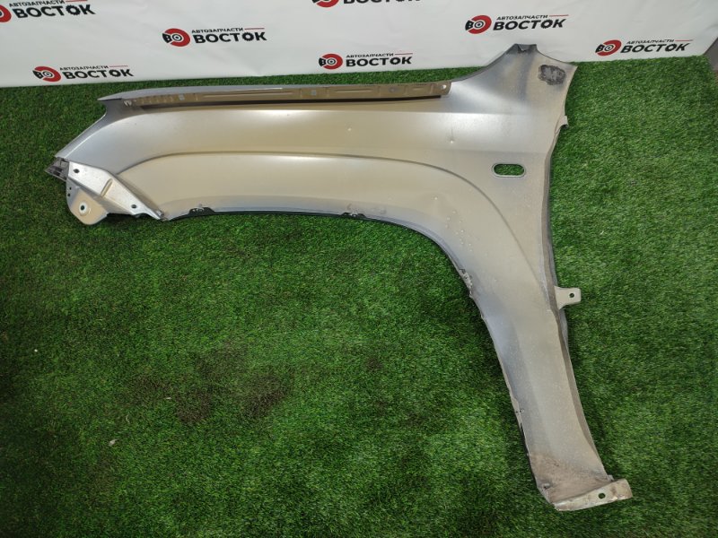 Крыло, 25000 рублей, Пешки