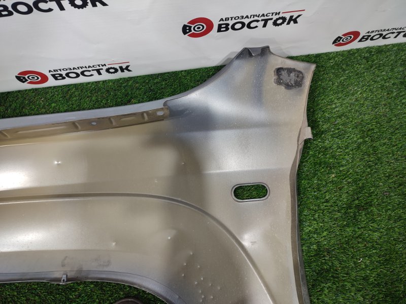 Крыло, 25000 рублей, Пешки