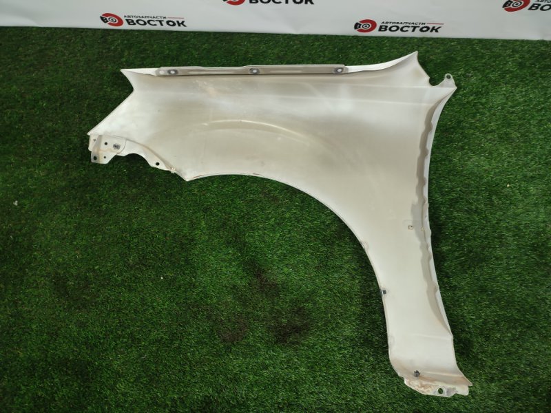 Крыло, 10000 рублей, Пешки