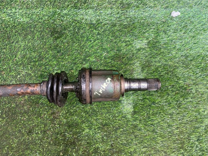 Привод, 12000 рублей, Пешки