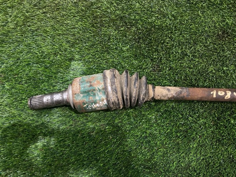 Привод, 12000 рублей, Пешки