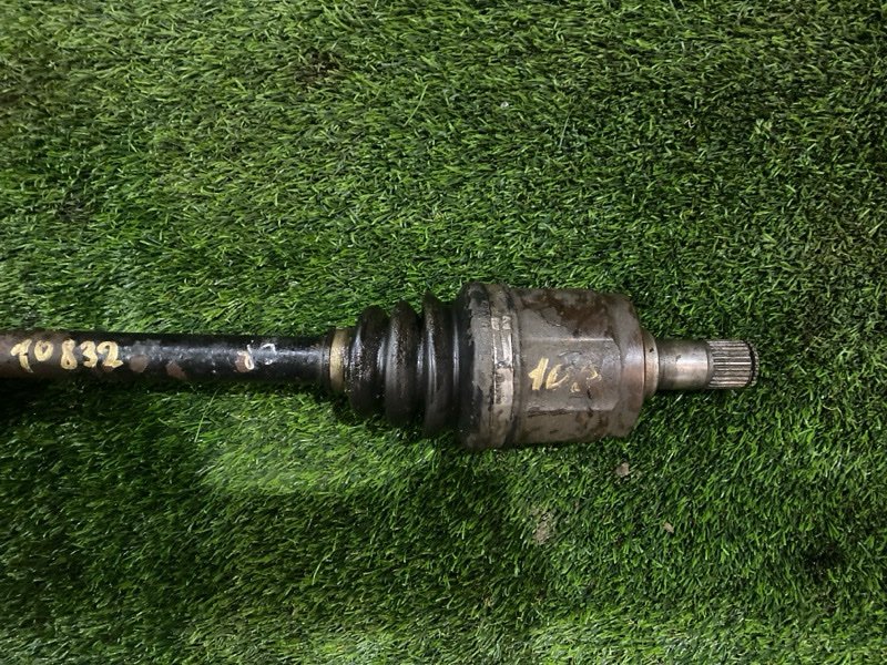 Привод, 12000 рублей, Пешки