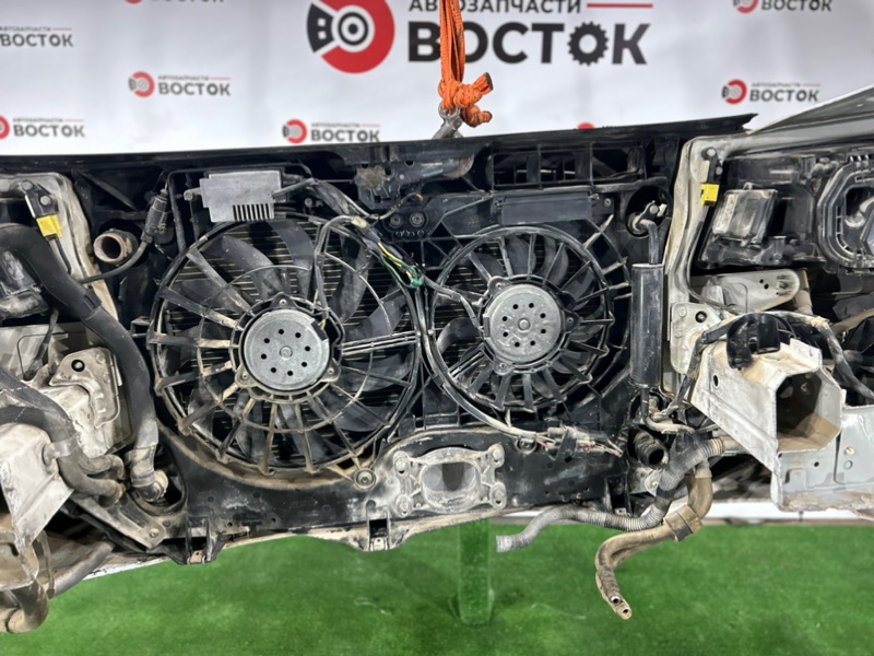 НОУСКАТ, 70000 рублей, Пешки