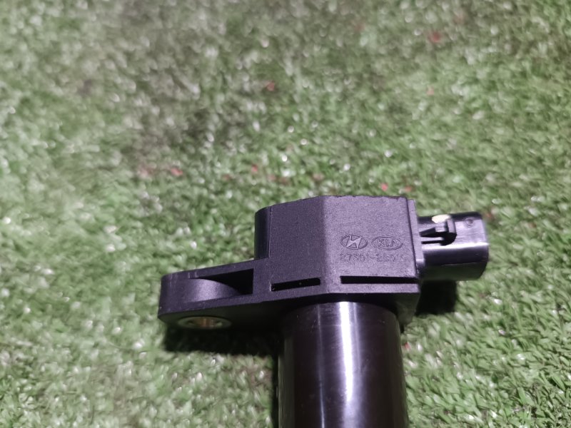 Катушка зажигания, 800 рублей, Пешки