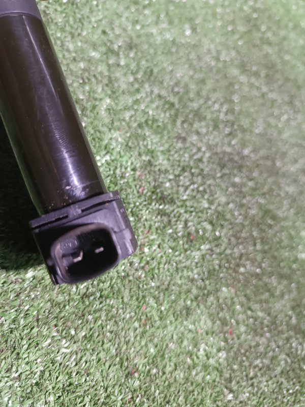 Катушка зажигания, 800 рублей, Пешки