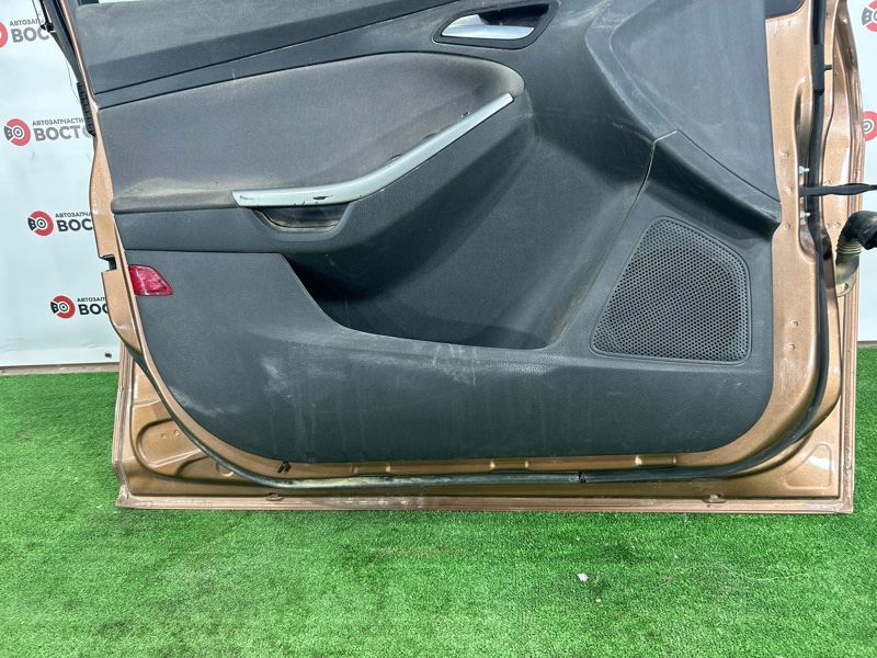 Дверь, 25000 рублей, Пешки