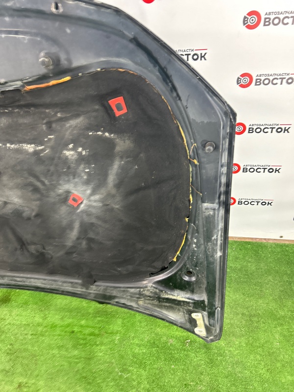 Капот, 45000 рублей, Пешки