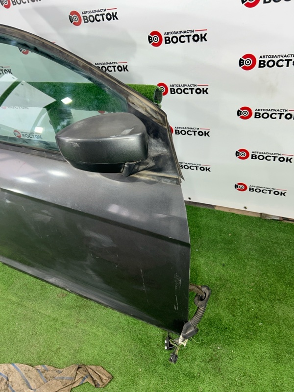 Дверь, 25000 рублей, Пешки