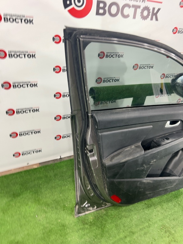 Дверь, 30000 рублей, Пешки