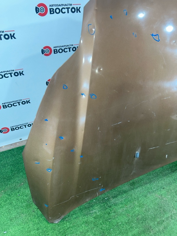 Капот, 15000 рублей, Пешки