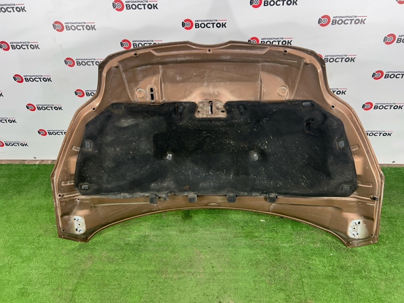 Капот, 15000 рублей, Пешки