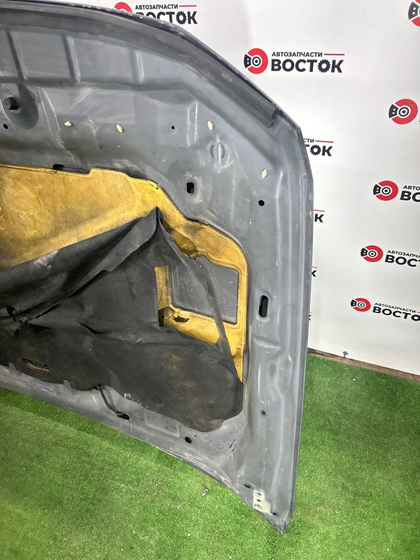 Капот, 21000 рублей, Пешки