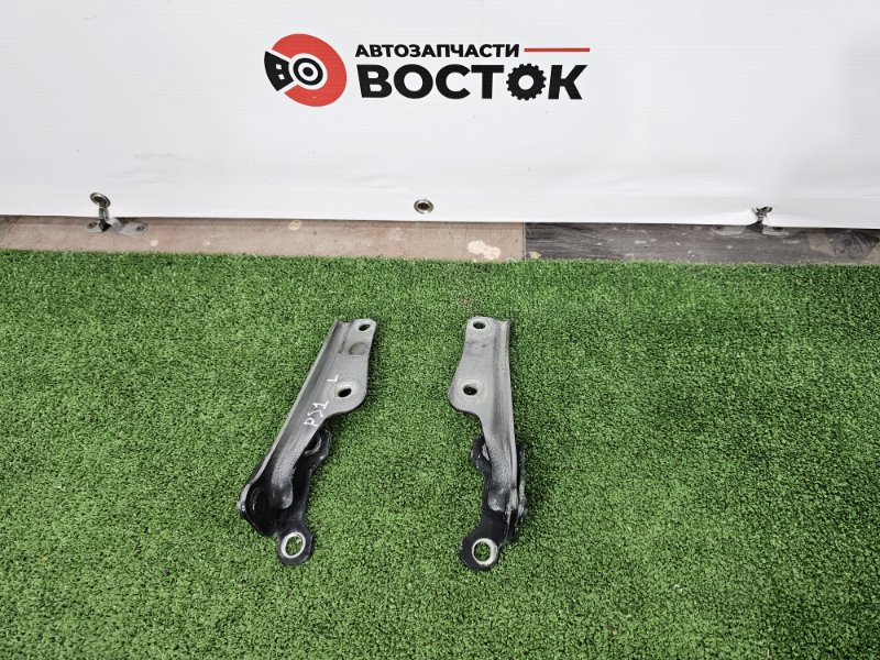 Петля капота, 3000 рублей, Пешки